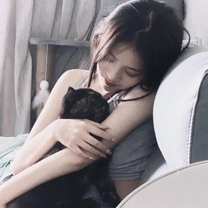 跳舞的猪